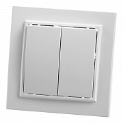 Выключатель двухклавишный Feron Stekker Эрна PSW10900401 39044