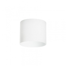 Накладной светильник Lightstar Rullo 213486