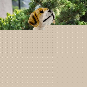 Уличный светильник Эра ERASF22-11 Б0053356