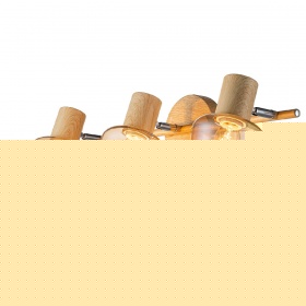 Спот Escada Woody 691/3P