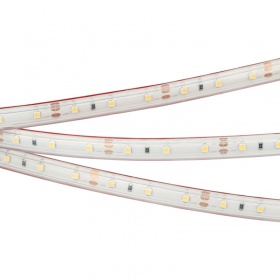 Светодиодная лента герметичная Arlight RTW-PS-A60-10mm 12V Day4000 (4.8 W/m, IP67, 2835, 5m) 021100(2)