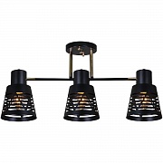 Потолочная люстра Reluce 06074-3.3-03 BK+FG