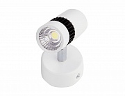 Накладной светильник Ambrella Light TN101/7W WH/BK