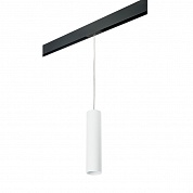 Трековый светильник Lightstar Rullo PRORP496 (214496+595857)
