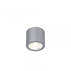 Накладной светильник Favourite Deorsum 2808-1C