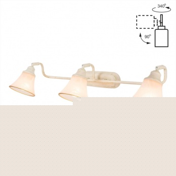 Спот Citilux Прованс CL511534