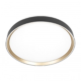 Потолочный светильник Citilux Boss CL751451G