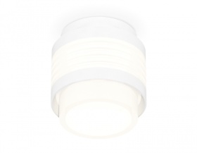 Потолочный светильник Ambrella Light Techno Spot XS8431001 (C8431, N8401)