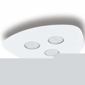 Потолочный светильник Nowodvorski Organic 8304