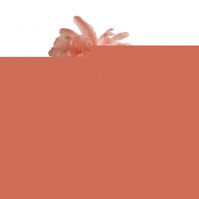 Торшер Delight Collection Ostrich Feather BRFL5014 pink/antique brass