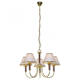 Подвесная люстра Arte Lamp Catrin A3545LM-5GO