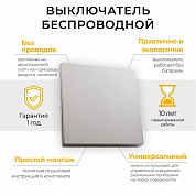 Выключатель беспроводной одноклавишный Feron TM81 41719