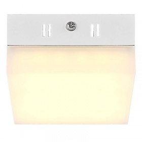 Потолочный светодиодный светильник Globo Merula 41650