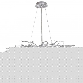 Подвесная люстра Odeon Light Delica 4970/10