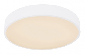 Потолочный светильник Globo Leanara 41756-24W