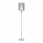 Торшер EVOLUCE PAZIONE SLE107105-01
