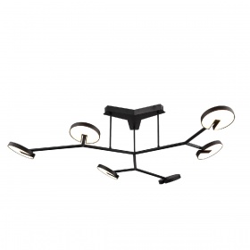 Потолочная люстра Favourite Paritet 4401-6C