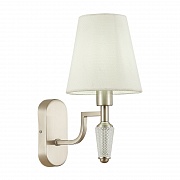 Настенный светильник EVOLUCE REIMO SLE105501-01