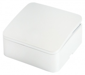 Выключатель одноклавишный Stekker София MSW10-10-01 49287