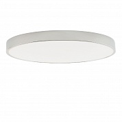 Потолочный светильник Zortes Tortty ZRS.02565.96