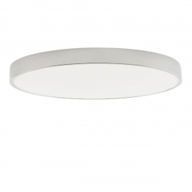 Потолочный светильник Zortes Tortty ZRS.02565.96