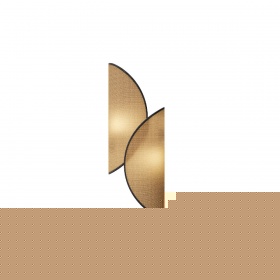 Настенный светильник Maytoni Organic MOD225WL-02B1