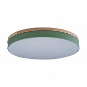 Потолочный светильник Loft IT AXEL 10001/36 Green