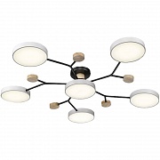 Потолочная люстра Velante 446-007-06