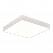Потолочный светильник ST Luce ST608.532.48