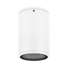 Уличный потолочный светильник Arlight LGD-Forma-Surface-R90-12W Day4000 037259