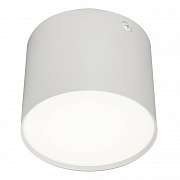 Потолочный светильник 20004 20004SMU/01LED SWH