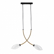 Подвесной светильник Indigo Fiore 13001/2P Black V000140