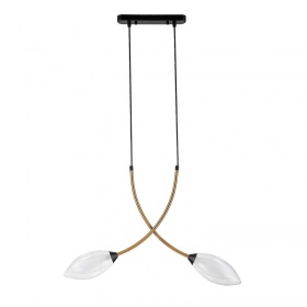 Подвесной светильник Indigo Fiore 13001/2P Black V000140