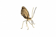 Статуэтка Бабочка золотая-2 Garda Decor 55RD3437L