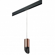 Трековый светильник Lightstar Rullo PRORP43037 (214430+595857+201437)