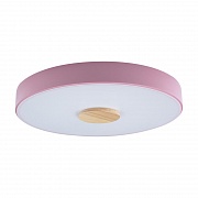 Потолочный светильник Loft IT AXEL 10003/24 Pink