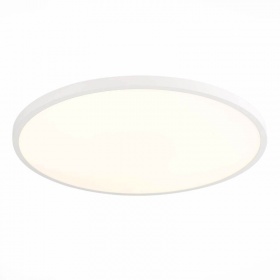 Настенно-потолочный светильник ST Luce ST601.532.48