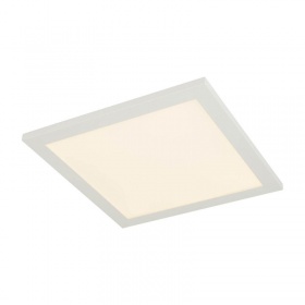 Потолочный светодиодный светильник Globo Rosi 41604D1