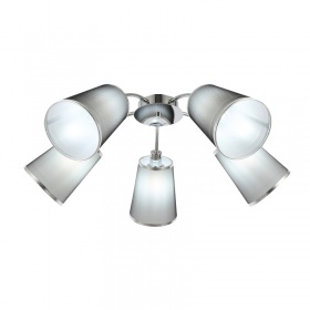 Потолочная люстра EVOLUCE MALEONTE SLE103002-05