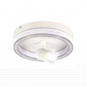 Потолочный светильник Escada 20044SMA/02LED WH