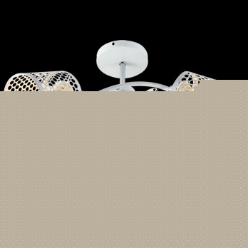 Люстра на штанге Reluce 01332-0.3-03 WH+CR