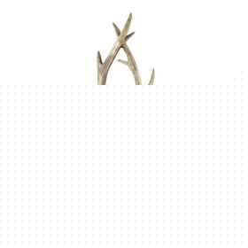 Бра Ideal Lux Chalet AP2 115511